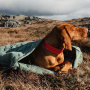 Hurtta Outback Dreamer ECO  Schlafsack für deinen Hund Outdoor in oliv