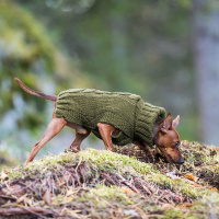 Rukka Pets Strickpullover WOOLY dunkelgrün oliv XL