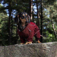 Rukka Pets  Thermal Overall Wintermantel für kurzbeinige Hunde Dackel burgund rot 45