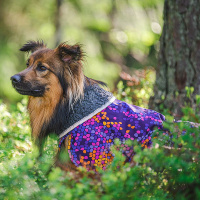 Pomppa Toppa Wintermantel in dem Muster Cosmos 65