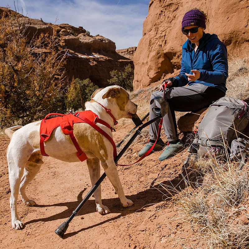 Ruffwear Web Master Sicherheitsgeschirr Red Sumac | rot