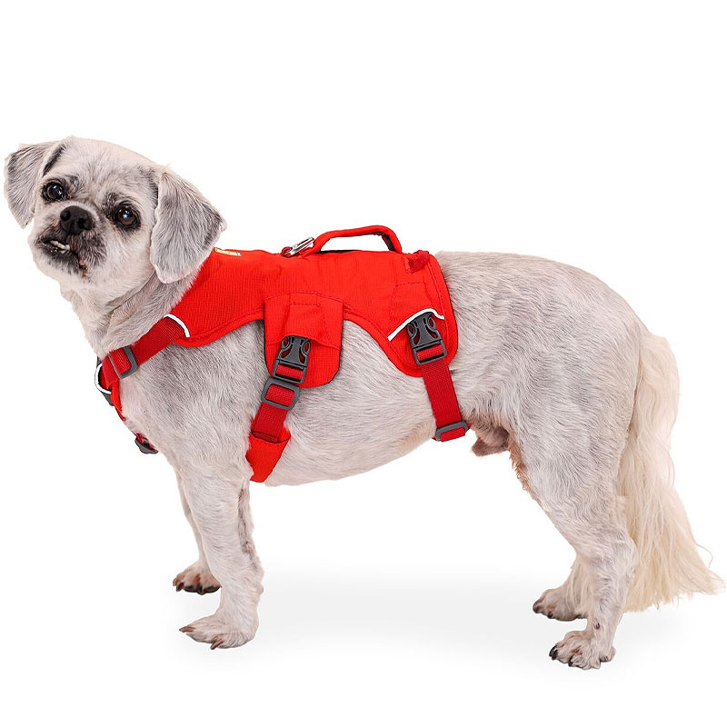 Ruffwear Web Master Sicherheitsgeschirr Red Sumac | rot