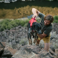 Ruffwear Web Master Sicherheitsgeschirr Red Sumac | rot