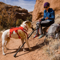 Ruffwear Web Master Sicherheitsgeschirr Red Sumac | rot XXS