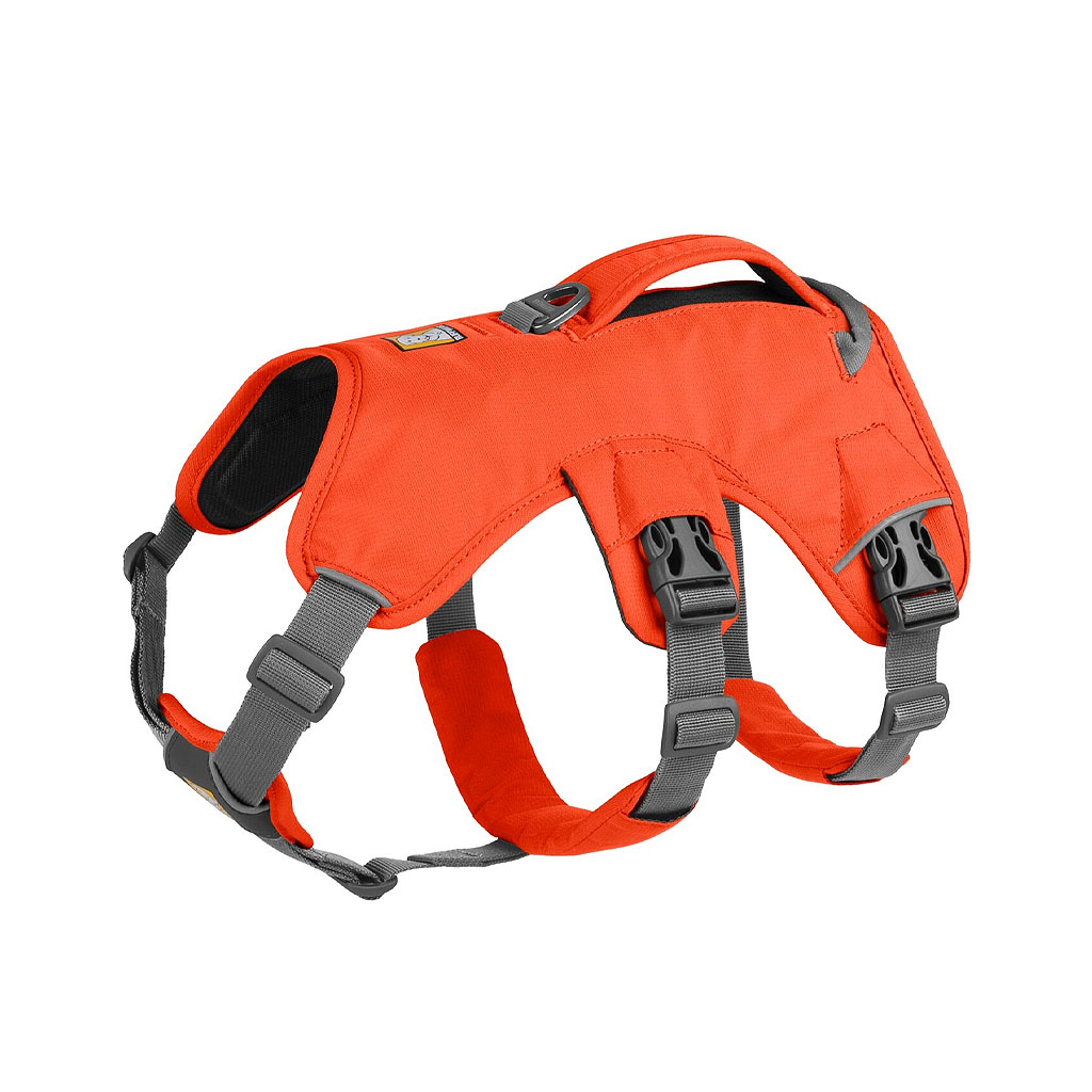 Ausbruchssicheres Sicherheitsgeschirr für ängstliche Hunde