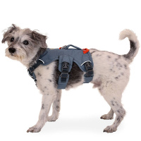 Ruffwear Web Master Sicherheitsgeschirr Slate Blue | blau grau XXS