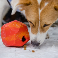 Ruffwear Gnawt A Rock Leckerchenspender robust