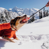 Ruffwear Huck a Cone Leckerchenspender robust mit Seil Red Sumac | rot