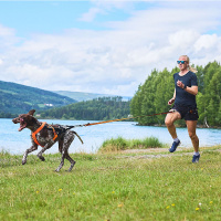 Non-stop dogwear Zuggeschirr Laufgeschirr Sportgeschirr Freemotion 5.0 hellblau grau Größe 3