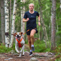 Non-stop dogwear Zuggeschirr Laufgeschirr Sportgeschirr Freemotion 5.0 hellblau grau Größe 3