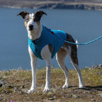 KURGO K9 Core Sweater Hundepullover in Heather Blue hellblau XL