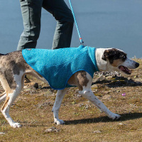 KURGO K9 Core Sweater Hundepullover in Heather Blue hellblau XL