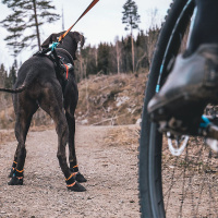 Kurgo Blaze Cross Hunde Socken 4-er Pack in grau M