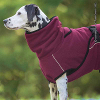 WarmUp Cape PRO Mantel für mittelgroße Hunde bordeaux rot S