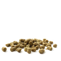 Trainings Softies Minis Lamm mit Frischfleisch 200g