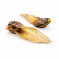 Rehohren für Hunde 100% Wild 10 Stück