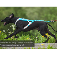 Non-stop dogwear Zuggeschirr Laufgeschirr Sportgeschirr Freemotion 5.0 dunkelgrau pink lachs Größe 8