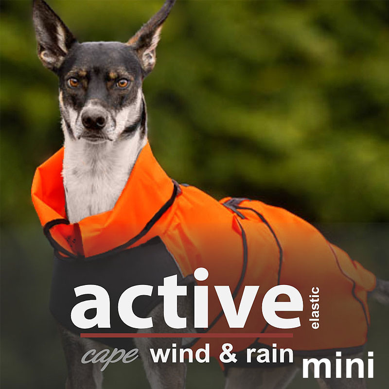 Active Cape Elastic wind & rain MINI Regenmantel für kleine Hunde in orange 45 cm