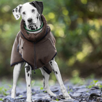WarmUp Cape PRO Mantel für mittelgroße Hunde darkblue blau S