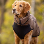 Active Cape ELASTIC Plus Wintermantel für mittelgroße Hunde in braun