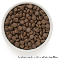 Grandorf Trockenfutter 4 Fleischsorten für erwachsene Hunde 10 kg