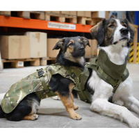 Annyx Mantelgeschirr Fun Limited Edition in camouflage tarn oliv 76 - L