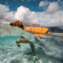 Non-stop dogwear Hundeschwimmweste Protector schwarz orange