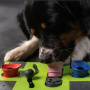Eat Slow Live Longer Puzzle Hundespielzeug Inelligenzspielzeug Rectangle