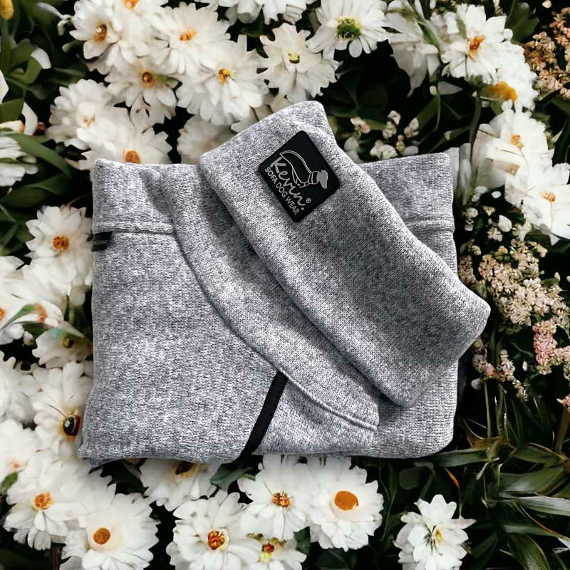 Sofadogwear Kevin Jumper V2 bequemer Pullover in grau L3