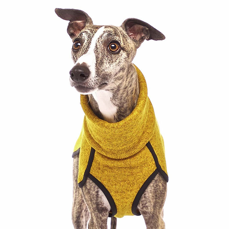 Sofadogwear Kevin Jumper V2 bequemer Pullover in grau L3