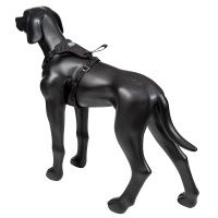 Rukka Pets Autogeschirr in der Farbe schwarz M - 55-75 cm