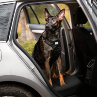 Rukka Pets Autogeschirr in der Farbe schwarz M - 55-75 cm