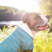 Goldpaw UV T-Shirt Sun Shield Tee Sonnenschutz LSF 50+ ocean blau 30