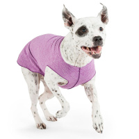 Goldpaw UV T-Shirt Sun Shield Tee Sonnenschutz LSF 50+ violett lila 20