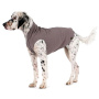 Goldpaw Stretch Fleece Hundepullover in charcoal grau