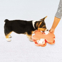 Nina Ottosson Puppy Tornado für Welpen...