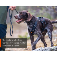 Non-stop dogwear Rock long Brustgeschirr Sicherheitsgeschirr Panikgeschirr XS