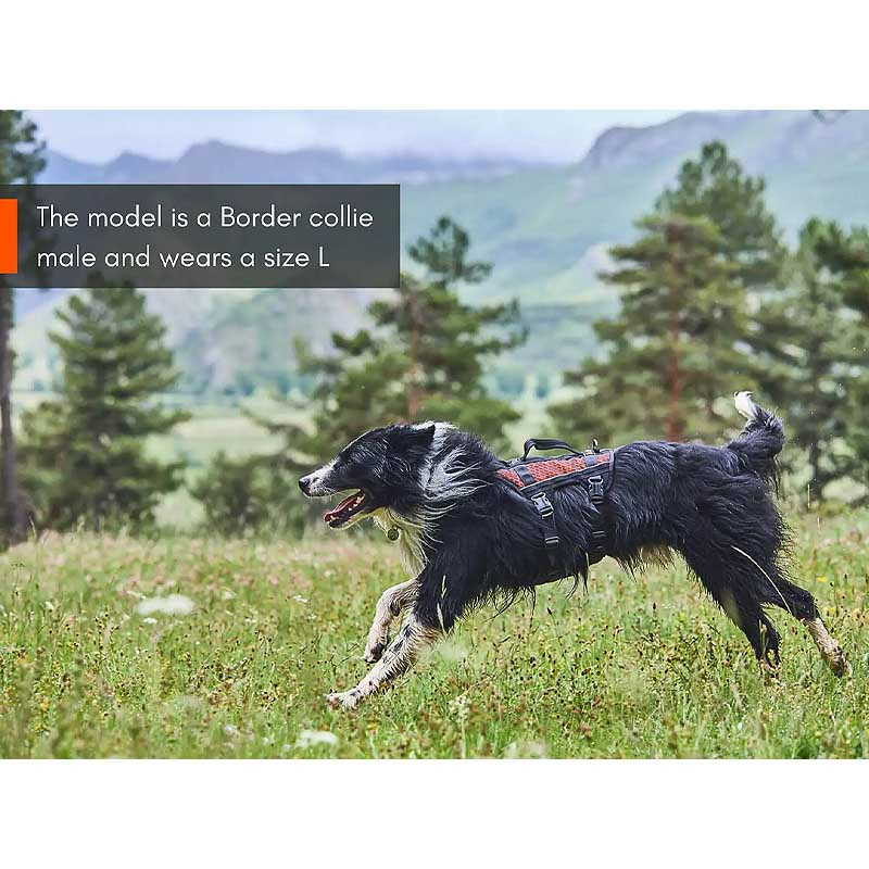 Non-stop dogwear Rock long Brustgeschirr Sicherheitsgeschirr Panikgeschirr M