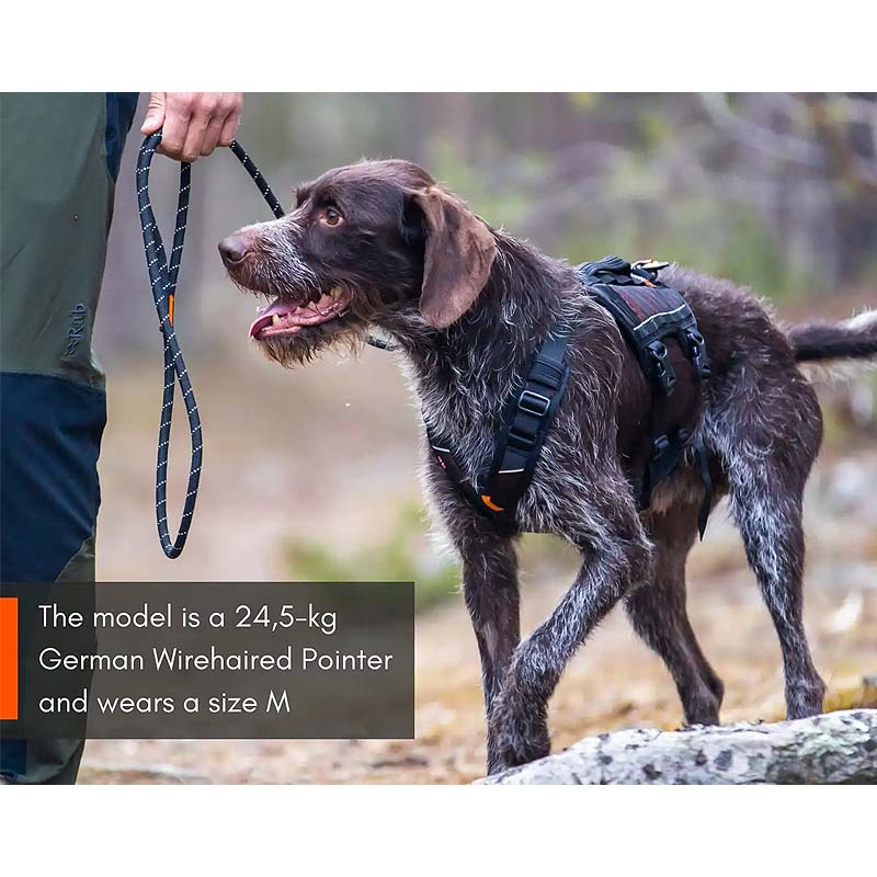 Non-stop dogwear Rock long Brustgeschirr Sicherheitsgeschirr Panikgeschirr M