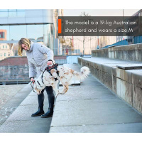 Non-stop dogwear Rock long Brustgeschirr Sicherheitsgeschirr Panikgeschirr L