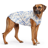 Goldpaw UV T-Shirt Sun Shield Sonnenschutz LSF 50+...