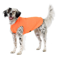 Goldpaw UV T-Shirt Sun Shield Tee Sonnenschutz LSF 50+ orange neon 24