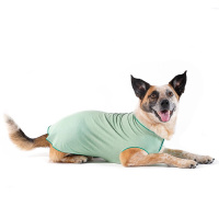 Goldpaw UV T-Shirt Sun Shield Tee Sonnenschutz LSF 50+ pistazie grün 30