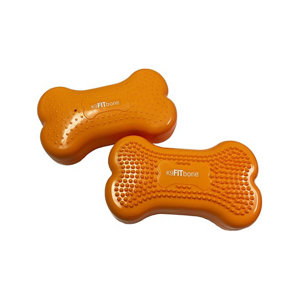 FitPAWS K9 Fitbone Balance Pad Kissen Set mini 2 Stück NEU PITUPI