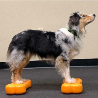 FitPAWS K9 Fitbone Balance Pad Kissen Set mini 2 Stück Himbeerrot
