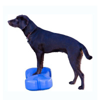 FitPAWS K9 Fitbone Balance Pad Kissen 58x29x10cm Lila-Violett