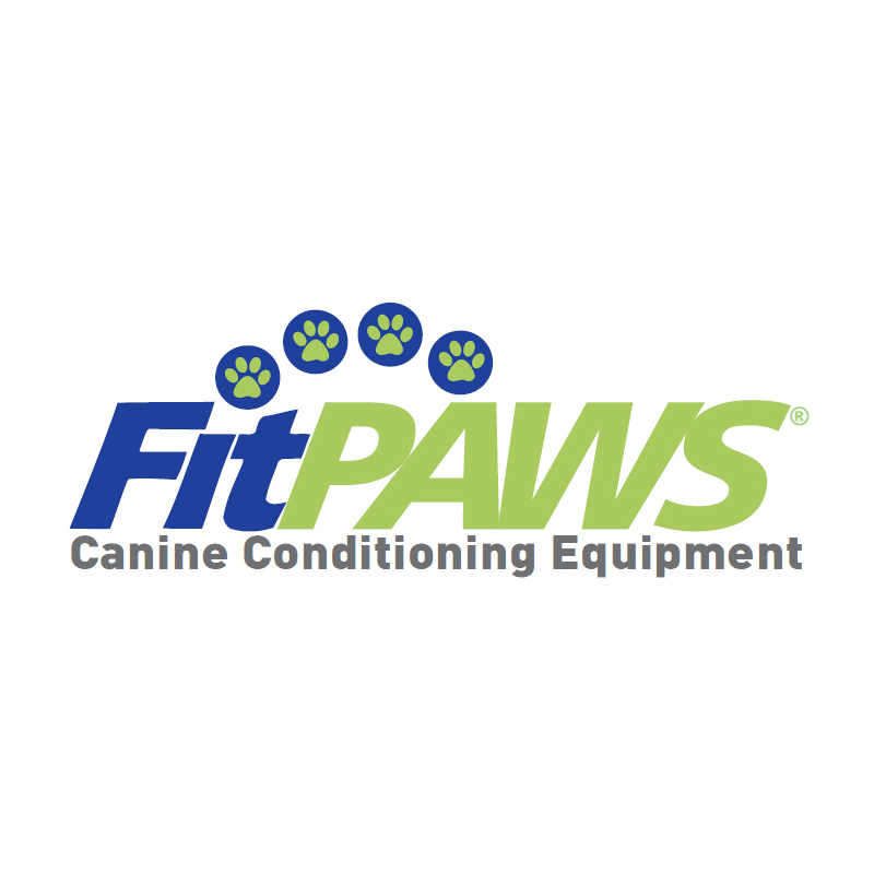 FitPAWS K9 Fitbone Balance Disc Scheibe in Himbeerrot