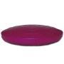 FitPAWS K9 Fitbone Balance Disc Scheibe in Himbeerrot