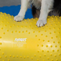 FitPAWS Peanut Trax Balance Kissen