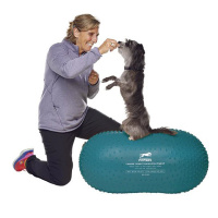 FitPAWS Peanut Trax Balance Kissen 60cm blau